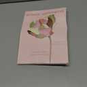 Which is Seamless Underwear for Women Sexy No Show Bikini Panties Lace High Cut Hipster Cheeky Panty 6 Pack M