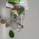 Cayway 26 PCS Outdoor Fairy Garden Miniatures Mini Zen Garden Accessories, Artificial Grass, Model Trees, Terrarium Ornaments, Dollhouse Supplies, Bonsai Decorative Craft Tools Kit