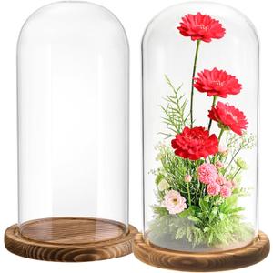 2 Pack Glass Cloche Display Dome, 10 Inch Large Decorative Glass Bell Jar, Clear Dome Showcase with Dark Brown Wooden Base, for Plants, Medals, Photos, Antique Collectibles, Mother's Day