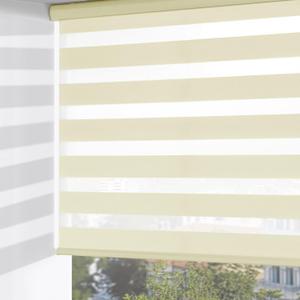 ChrisDowa Cordless Zebra Blinds for Windows, Dual Layer Free-Stop Light Filtering Window Roller Shades, Pull Down Privacy Zebra Shades for Home, Office, Bedroom, Door (58" W x 72" H, Beige)