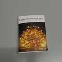 Twinkle Star 33ft 100LED Copper Wire String Lights Fairy String Lights 8 Modes USB Powered with Remote Control for Wedding Party Home Christmas Decoration, Warm White