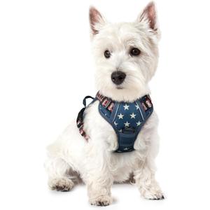 Rabbitgoo Dog Harness No Pull with 2 Leash Clips, Adjustable Soft Padded, Reflective Oxford No Choke Pet Vest with Easy Control Handle for Large Dogs, Blue Star, XS