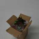 LOYWREE Artificial Purple Ivy Hanging Vine Plants - Small Potted Long Trailing Cascading Foliage, Gothic Home Decor for Indoor/Outdoor, Office, Garden & Shelf (Black Pot Included) (1Pack, Perilla)