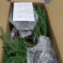 2FT Artificial Norfolk Pine Christmas Tree  Tabletop Faux Tree Unlit/Prelit with 50 LED Lights & 8-Function Battery Box, Pre-Assembled Holiday Decor for Home or Office (Prelit-2FT-2Pack)