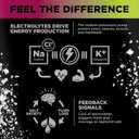 LMNT Sparkling Electrolyte Drink - Black Cherry Lime | 12-Count