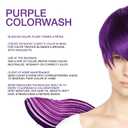Celeb Luxury Colorwash Color Depositing Shampoo - Color Refresher, Vegan Hair Dye, Bondfix Bond Rebuilder, Viral and Gem Lites (Purple)