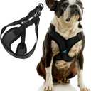 Gooby Comfort X Step in Lite Dog Harness - Choke Free, Escape Free with Light Breathable Mesh - Step in Dog Harness for Small Dogs - Quick Release Buckle, Metal D-Rings - Black, Small