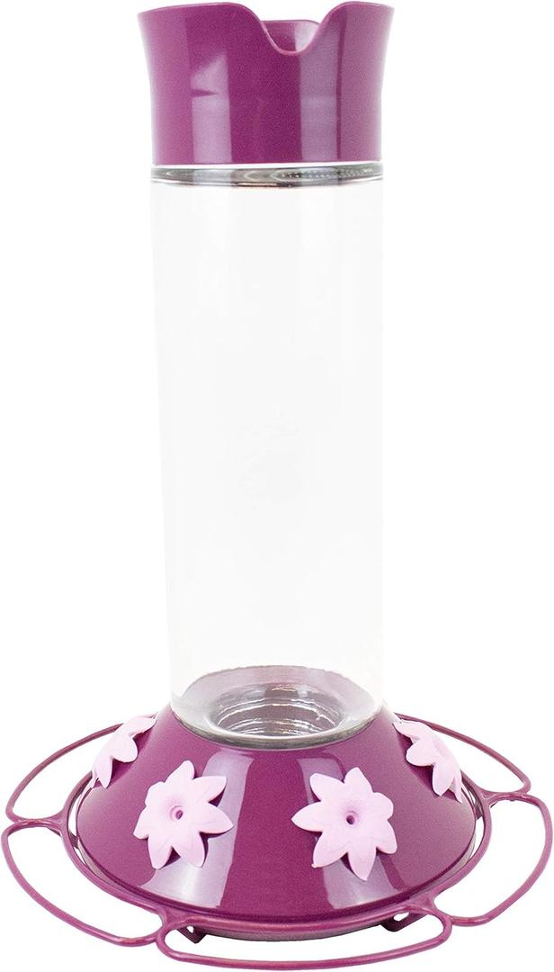 Perky-Pet 209BW Glass Hummingbird Feeders for Outdoors Hanging - 30 oz - Ant & Bee Guarded Royal Berry Bird Feeder