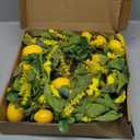TEMPUS 5.4 Ft Artificial Lemon Garland Spring Summer Faux Yellow Fruit Garlands with Greenery for Home Door Wall Mantle Wedding Holiday Party Table Decorations