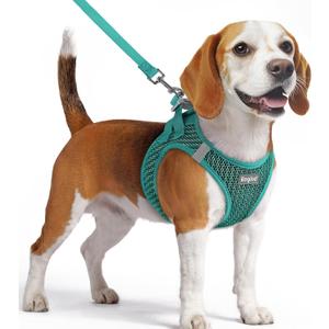 Eagloo Dog Harness and Leash Set, Step in Puppy Vest with Breathable Soft Mesh, Walking Reflective Pet Harness for Dogs, Forest Green, M