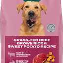 Jinx Premium Dry Dog Food, for All Lifestages - Real Beef, Brown Rice & Sweet Potato Kibble with Superfoods for Immune Support & Probiotics for Digestive Support - No Fillers - 30lb - 30 Pound, Pack of 1, Best By 10/28/2026
