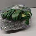 6 Pcs Artificial Eucalyptus Garland, 5.91 Feet Faux Greenery Artificial Hanging Fake Leaves Vines for Wedding Backdrop Arch Table Wall Party Home Mantle Decor(Eucalyptus Willow Leaves)