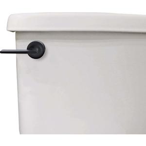 Danco 12052 Toilet Tank Lever, Matte Black
