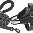 Haapaw Essential Dog Harness, No Pull Pet Vest with 3 Leash Clips, No Choke, Reflective, Adjustable and Padded, for Easy Walking and Training for Large Dogs(L, Black)