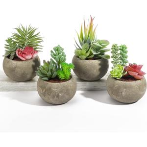 Succulents Plants Artificial 4 Pack, Mini Fake Succulents in Pots, Assorted Small Faux Succulent Decorative for Living Room Home Office Decor (Type2)
