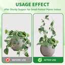 2 Pack Small Plant Trellis for Pots Indoor, Clear Acrylic Hoya Pothos Trelli with 20 Ties