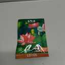 35 pcs Bowl Lotus Seeds Mixed Water Lily for Planting Water Features Bonsai (EXP 08/11/26)