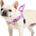PUPTECK No Pull Dog Harness Small Sized Dog, Adjustable Reflective Pet Vest Harness with Bungee Handle, Escape Proof No Choke Harness for Small Dogs Walking Training, Purple S