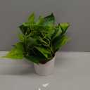 Waipfaru Faux Plants Indoor with Plastic Pots, Realistic Small Fake Plants, Fake Plants with Pothos, Fake Potted Plants, Artificial Plant for Home Shelf Bathroom Kitchen Office Indoor Outdoor Decor