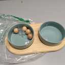 Ceramic Elevated Cat Food and Water Bowl, Kitty Bowl, Raised Cat Dish, Cat Feeder (5.1 in, 2 x Light Green + Stand)