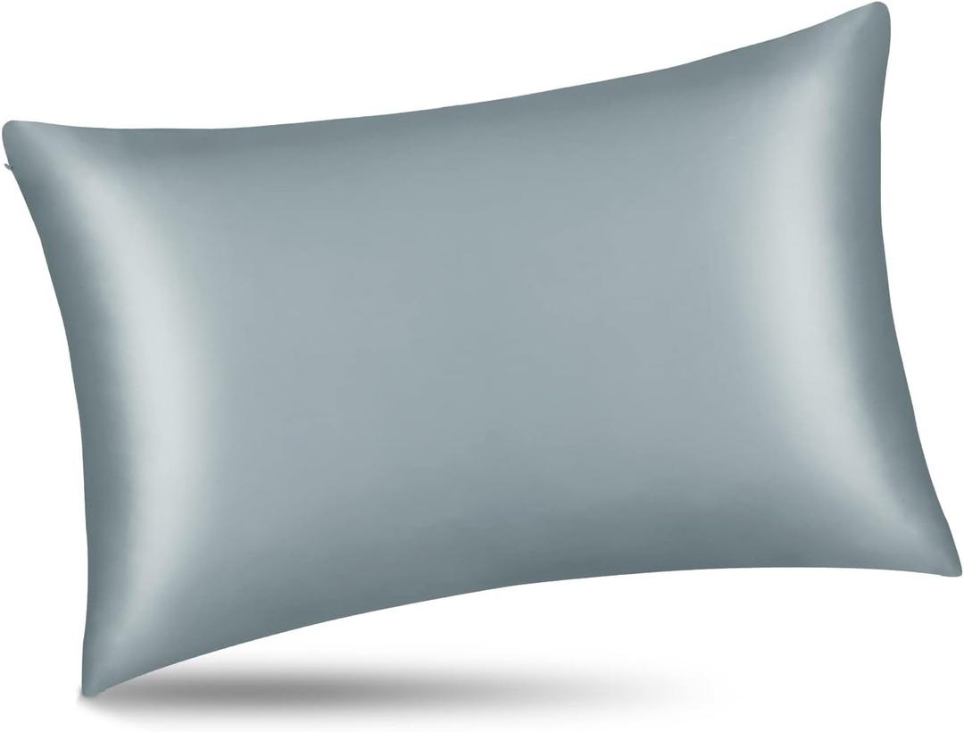 ALASKA BEAR Natural Silk Pillowcase, Hypoallergenic, 19 Momme, 600 Thread Count 100 Percent Mulberry Silk, Queen Size with Hidden Zipper(1, Haze Blue) (Queen 20''x30'')