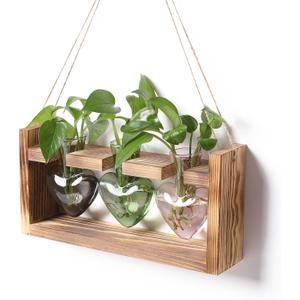 Plant Terrarium Propagation Stations Hydroponics Home Garden Decoration Gift for Women with Wooden Stand Heart Shaped Colored Glass Vase