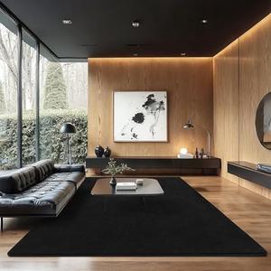 B BENRON Soft Rugs for Living Room 6x9 Black, Minimalist Area Rug for Bedroom Nursery Dining Table Dorm, Large Throw Rugs for Men Boys Girls Kids Room Indoor Floor Carpets