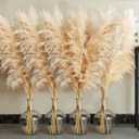40" inch 20 Stems Natural Pampas Grass Decor Tall, Pompas Grass, Tall Pampas Grass for Wedding, Party, Farmhouse, Boho Home Decor