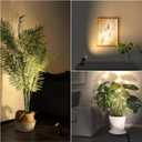 SUNVIE 2 Pack LED 120V SpotLights Indoor, 3W Up Lights Floor Spotlight, 3000K Uplights Indoor Accent Lighting for Plants Pictures Artwork, 5.9 FT Cord with Foot Switch