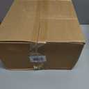 DN DECONATION Artificial Christmas Norfolk Pine Stems, Faux Pine Branches 22.4" 12PCS - Real Touch PE Greenery Fake Pine Needles for Vase Arrangements, Winter, Holiday Indoor Outdoor Home Decor (Set of 12, Green57)