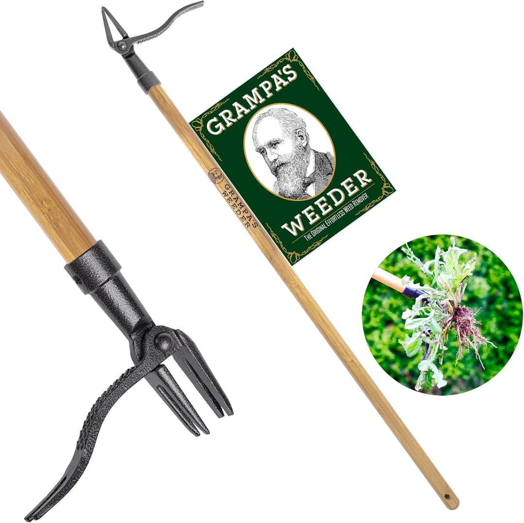 Grampa's Weeder - The Original Stand Up Weed Puller Tool with Long Handle - Made with Real Bamboo & 4-Claw Steel Head Design - Easily Remove Weeds Without Bending, Pulling, or Kneeling