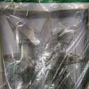 Kurt Adler 10-Light 11.4-Inch Capiz Bethlehem Star Treetop