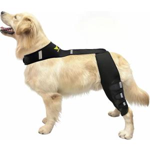 Dog Knee Brace for Torn ACL Hind Leg - Professional Recovery Support, Patented Double Strap System & Flexible Splints Stabilize Joint, Promotes Healing & Mobility (XL) 65-110LB