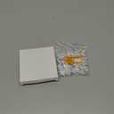 Cable Clips Nail in Cable Clips 100 Pcs 8mm Flat Ethernet Cable Wall Clips Cable Tacks Coax Cable Clip Speaker Wire Clips Cable Nails for Cords Cat5/Cat5e/Cat6/Cat7 RJ45 Cord Clips