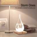 Christmas Unique Gifts, Storm Glass Weather Predictor,Christmas Snow Globe Barometer, Storm Glass Weather Station, Decorative Weather Predictor,Decorative Glass Bottles for Home and Office