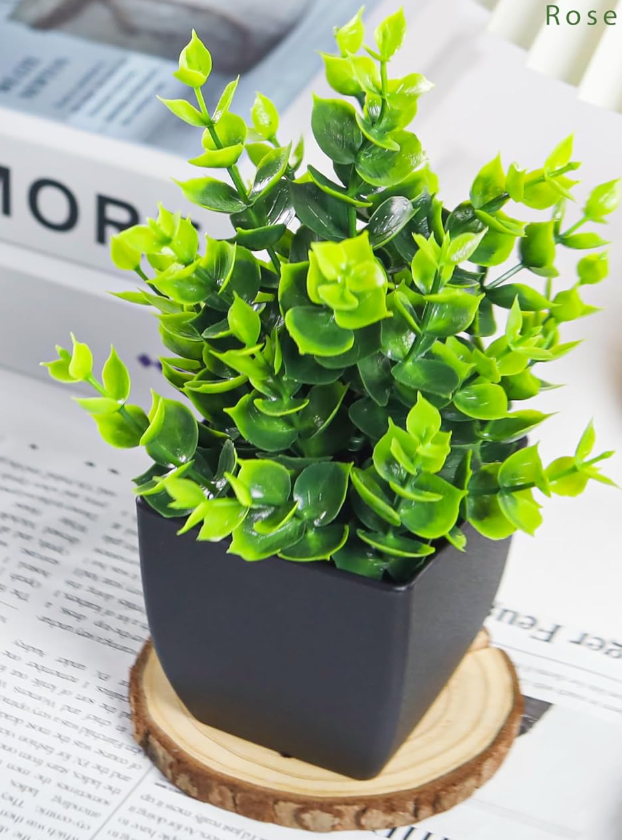 Der Rose 2 Pack Fake Plants Small Artificial Mini