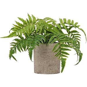 Briful Small Fake Plant Potted Plants Artificial Decor Plastic Ferns Plant Faux Plants in Pots for Home Living Room Bedroom Desk Bathroom Shelf Farmhouse Decoration