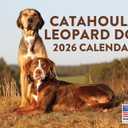 2 x Catahoula Leopard Dog Calendar 2026 Monthly Wall Calender 12 Month | American Made In The USA