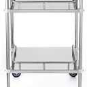Lesolar Lab Rolling Cart, Stainless Steel Serving Cart 2 Layer Medical Dental Utility Cart with Swivel Wheels Mobile Clinic Cart Laboratory Equipment Metal Rolling Cart for Hospital Restaurant Hotel