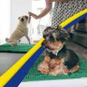 Muddy Mat | Super Absorbent Door Mat Indoor, Microfiber Quick Dry Chenille Entryway Rug, Non-Slip Front Door Mat, Indoor Mats for Entryway, Machine Washable Pet Rug, Dark Green 30"x19"