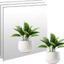 Full Length Glass Mirror Tiles 20"×20" - 3PCS, Modern Frameless Wall Mirrors for Bedroom, Living Room, Home Gym – Real Glass, HD Reflection, Easy Peel & Stick