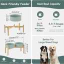 Havniva Ceramic 8.2inch Raised Dog Bowl with Stand for Large- Breed Dogs, Pet Food and Water Feeder (Double Bowl with Stand - Light Green)