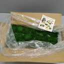 Preserved Pole Moss Pillow Bun Cushion Natural Green Decorative Real Natural Green DIY Kit Terrariums Gardenning Art Wall Decor Florist Decor Easter Table Wedding(1.5 sq.ft, Green-B)