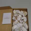 Vicenpal 60 Pack White Seashell Coral Starfish Table Place Card Holder Beach Wedding Table Name Number Place Card Holder for Wedding Coastal Under The Sea Mermaid Birthday Decor, with 30 Placecard