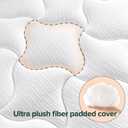 Zinus AZ-CMM-800F Cloud Memory Foam 8 InchMattress / Pressure Relieving Design /Mattress-in-a-Box / OEKO-TEX and CertiPUR-US Certified, Full