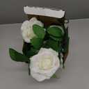 Felice Arts 2 Pack Cream Artificial Rose Vine Each 6.5FT Fake Rose Garland Hanging Flower Garland for Wedding Arch Table Arrangement Garden Swing Teepee Decor