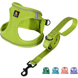 BELLA & PAL Step in Vest Harness for Small and Medium Dogs, No Pull Small Dog Harness with Leash Set, Comfortable Air Mesh Dog Vest Harness with Reflective Strip (Avocado Green, XS)