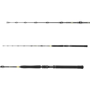DAIWA BG Big Game, 1.68m, 5.50 Ft, 3 Parts, Progressive Action, Big Game Saltwater Fishing Rod