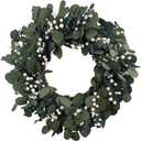 20" Preserved Eucalyptus Wreath for Front Door Large Wreaths Natural Eucalyptus Real Touch Everlasting Summer/Spring/Fall Wreath Fresh Green Environmentally Friendly Decor for Home
