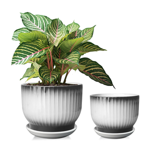 6.7 + 5.5 Inch Ceramic Plant Pots,Set of 2,Planters with Drainage and Saucer,Indoor Pots for Plants,Modern Flower Pots for Home and Office（Black + White）